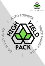 High Yield Autoflower Variety Pack by AutoSeeds