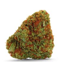 Bubblegum x Fat Hog Bud Shot Grower's Choice