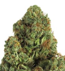 Midnight Mass by Heavyweight Seeds