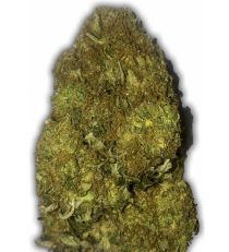 Skunky Monkey Auto by Heavyweight Seeds