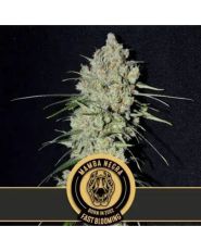Mamba Negra FBV by Blimburn