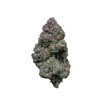 RS11 by Grower's Choice