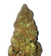 Jackpot Auto by Heavyweight Seeds