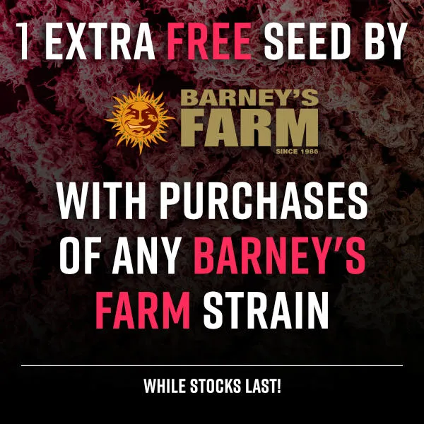 Barney's Farm Promo