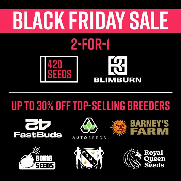 Black Friday Sale 2025