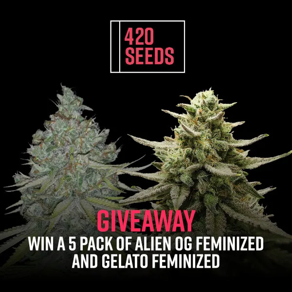 Giveaway (March 2026)