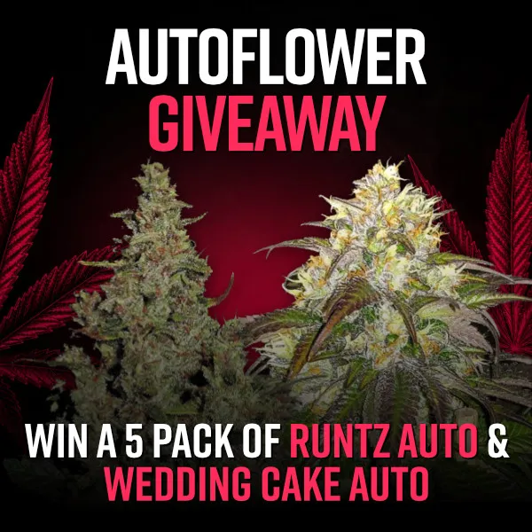 Giveaway (June 2026)