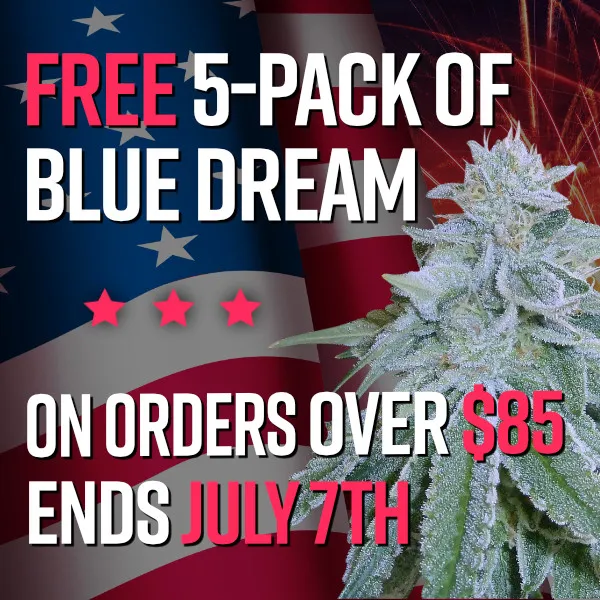 Independence Day Promo