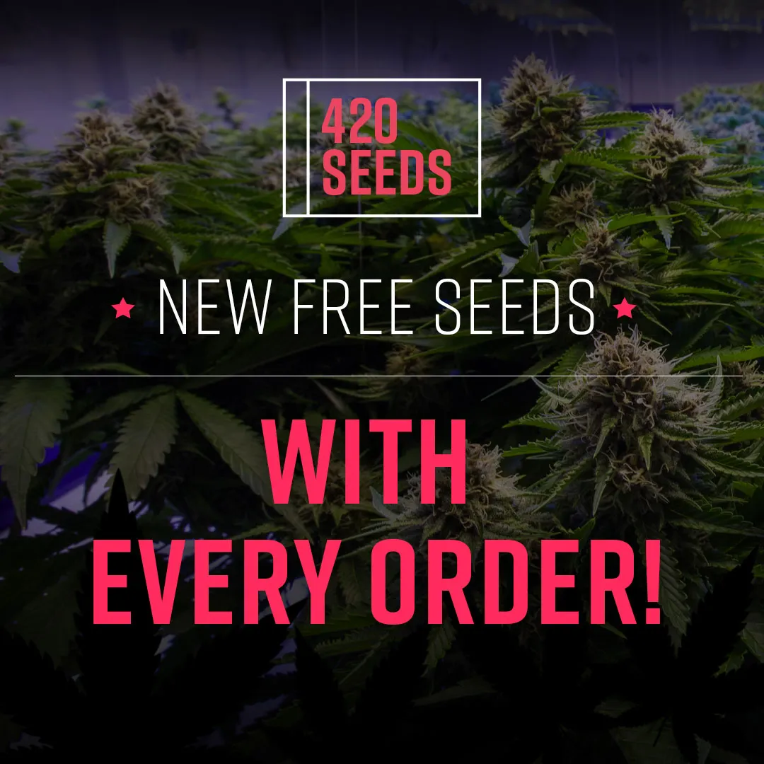 Free Seeds
