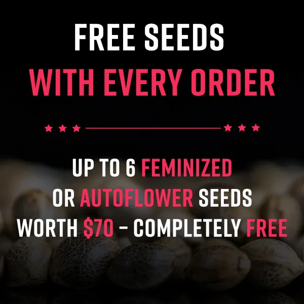 Free Seeds