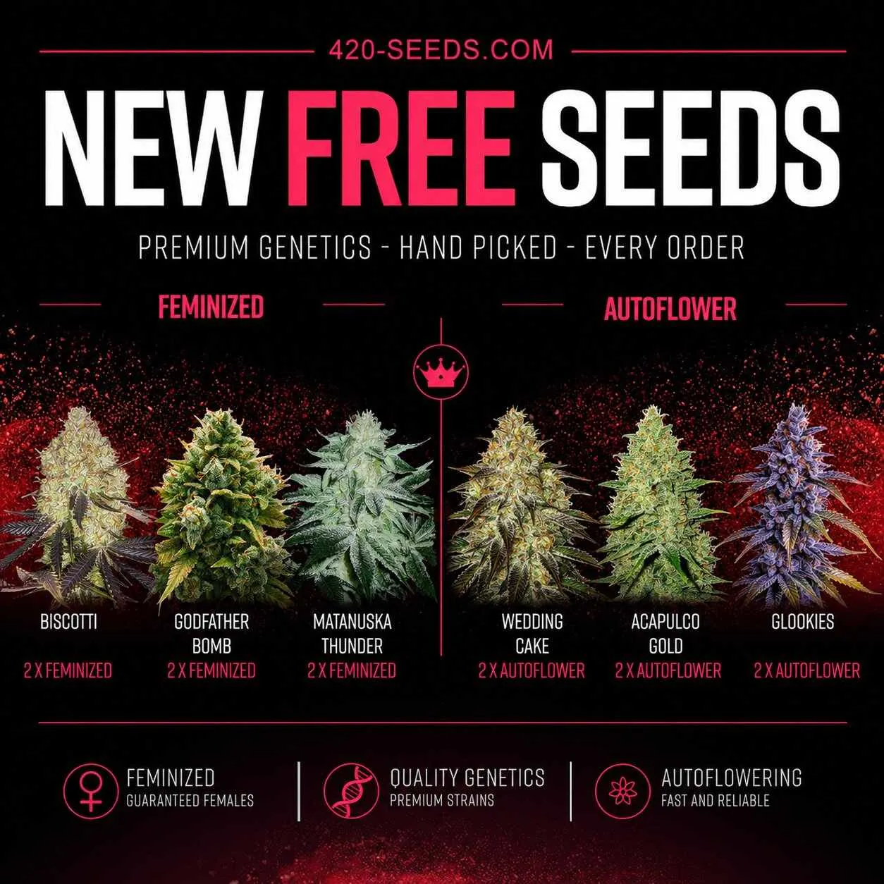 New Free Seeds