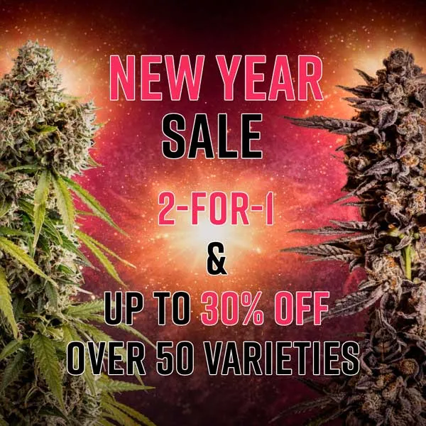 New Year Breeder Sale 2025