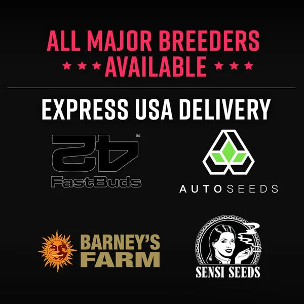 Express USA Delivery