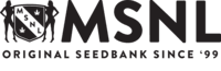 MSNL Seeds